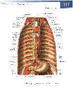 Sobotta  Atlas of Human Anatomy  Trunk, Viscera,Lower Limb Volume2 2006, page 124